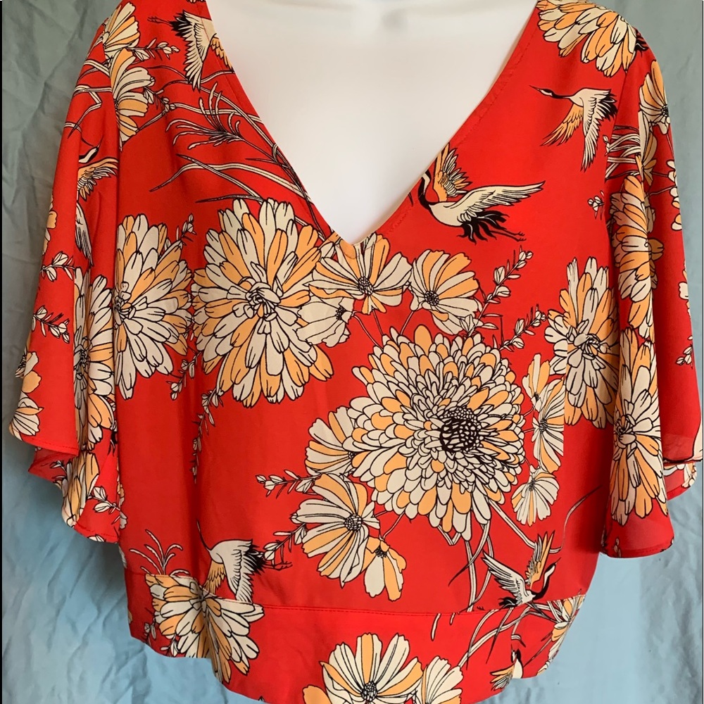 Express short sleeve top